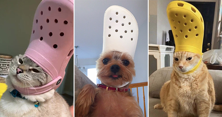 Crocs Hat Will Turn Your Pet Into The Pope